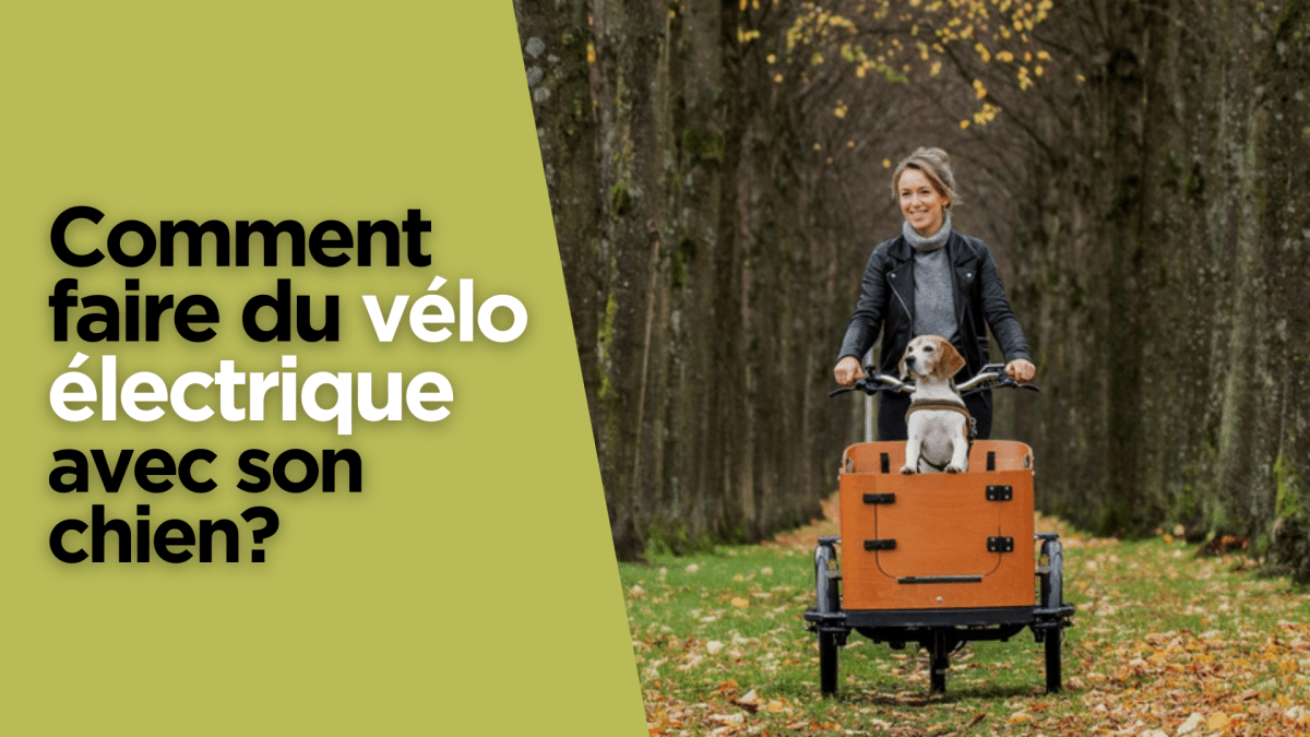 Comment faire du vélo électrique avec son chien? - Weebot