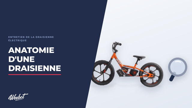Anatomie d'une draisienne électrique : pièce par pièce