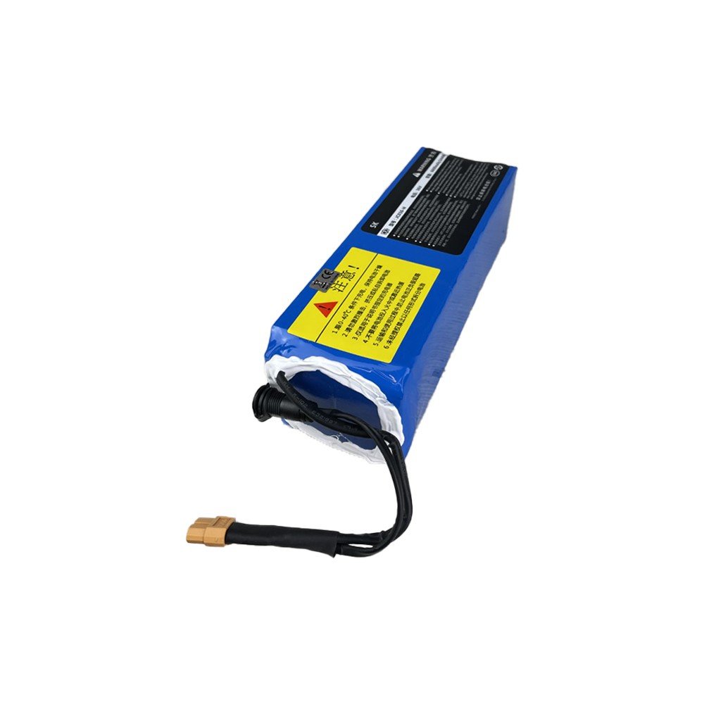 Batterie 36V 6Ah pour Draisienne Électrique - Weebot
