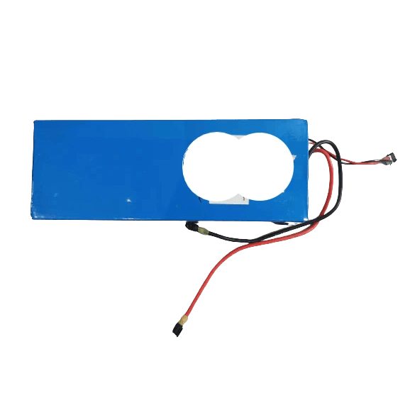 Batterie 60V 13,2AH pour Gyropode Eswing - Weebot