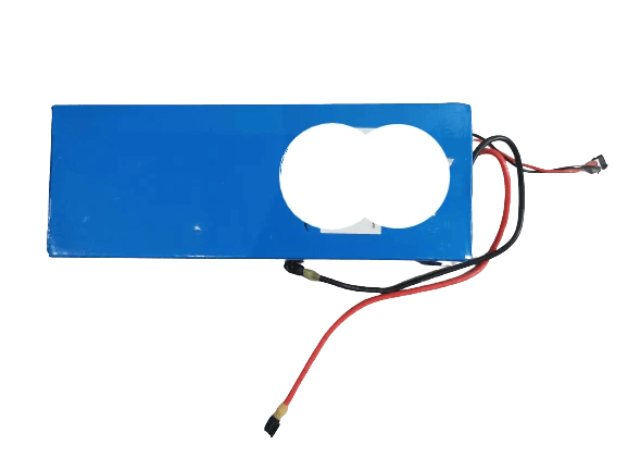 Batterie 60V 13,2AH pour Gyropode Eswing - Weebot