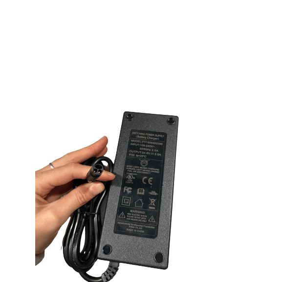 Chargeur 2AH pour Batterie 48V Trottinette Electrique E-Twow GT SL (Connecteur nouvelle génération) - Weebot