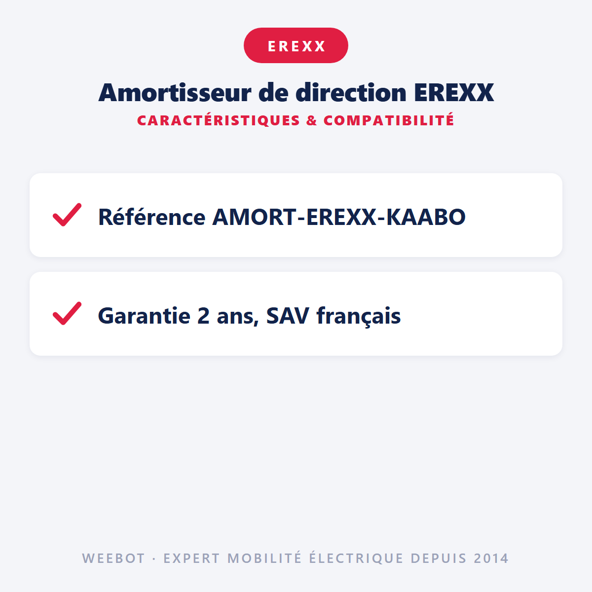 Amortisseur de direction EREXX : caractéristiques et compatibilité