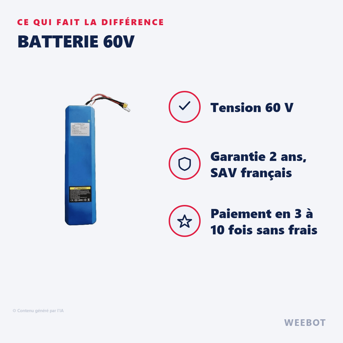 Batterie 60V pour Trottinette Électrique Dualtron Togo Limited - Minimotors - Weebot