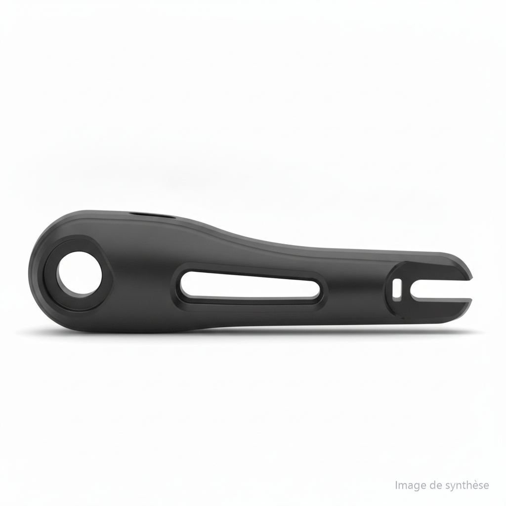 Bras Oscillant Arrière Gauche, vue 2