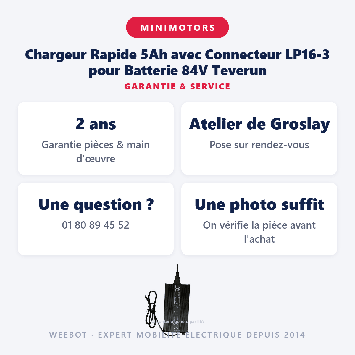 Chargeur Rapide 5Ah avec Connecteur LP16-3 pour Batterie 84V Teverun - Weebot