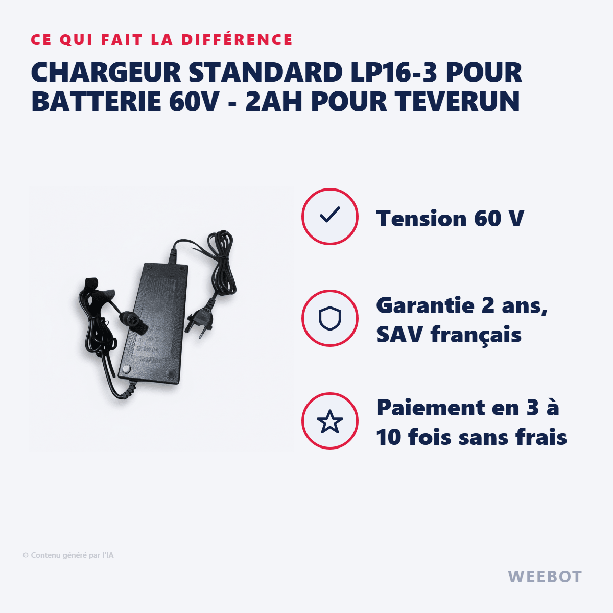 Chargeur Standard LP16-3 pour Batterie 60V - 2Ah pour Teverun - Weebot