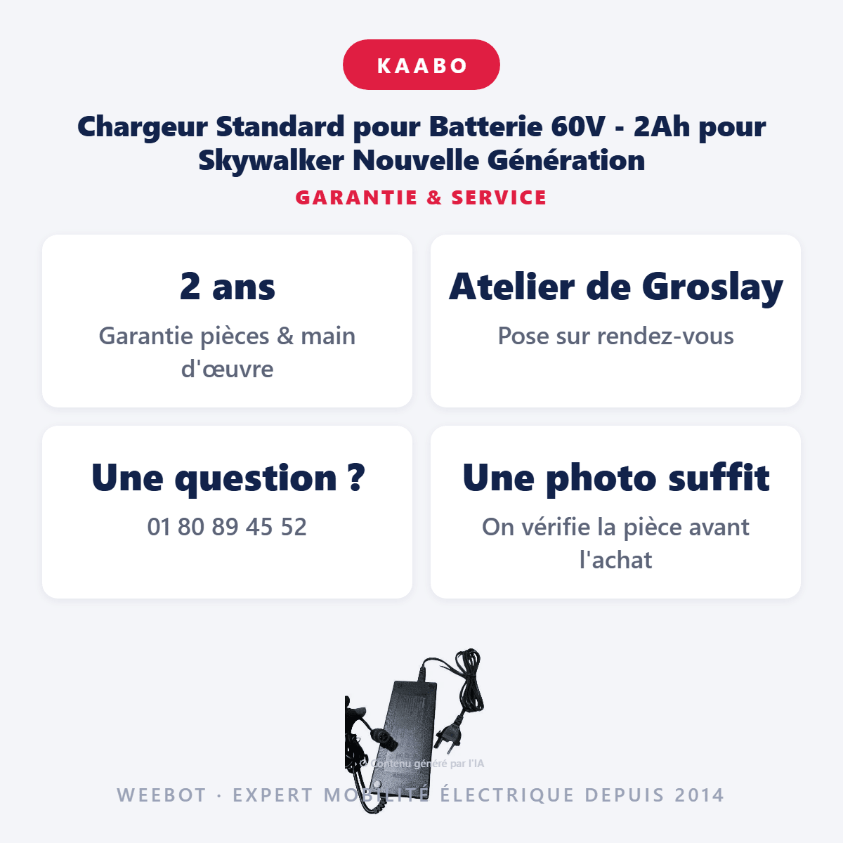 Chargeur Standard pour Batterie 60V - 2Ah pour Skywalker Nouvelle Génération - Weebot