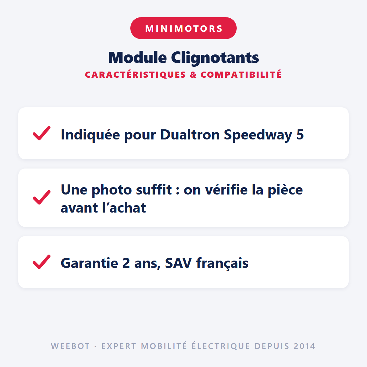 Module Clignotants pour Trottinette Électrique Speedway 5 - Weebot