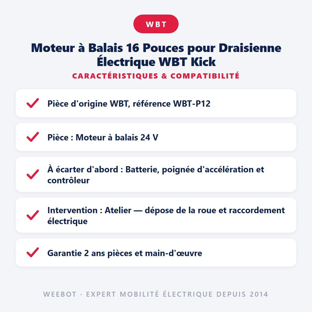 Moteur à Balais 16 Pouces pour Draisienne Électrique WBT Kick - Weebot