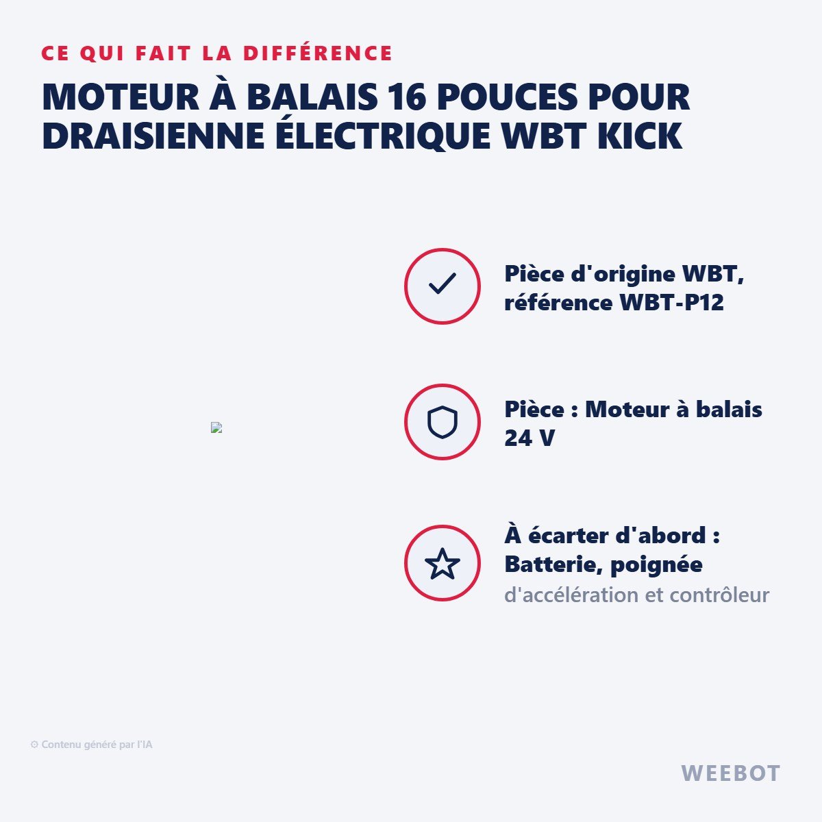 Moteur à Balais 16 Pouces pour Draisienne Électrique WBT Kick - Weebot