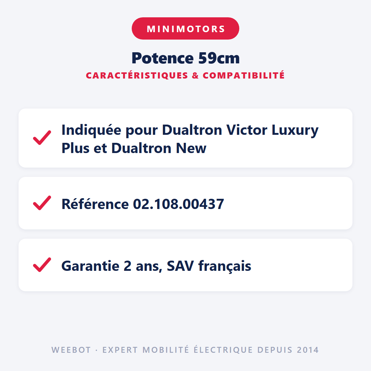 Potence 59cm pour Trottinette Électrique Dualtron New Victor Luxury Plus - Weebot