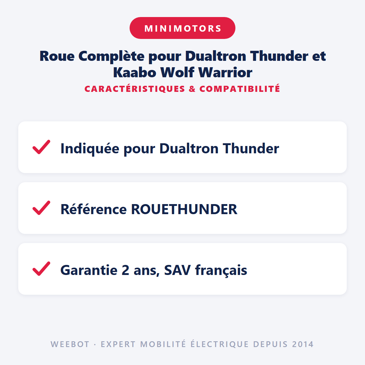 Roue Complète pour Dualtron Thunder et Kaabo Wolf Warrior : caractéristiques et compatibilité