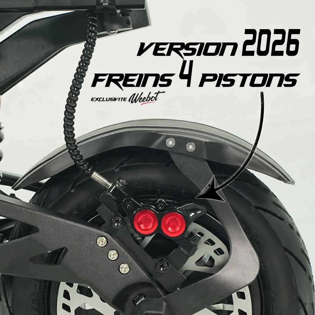 Trottinette Électrique Teverun Fighter 11 Plus : Maniable et Robuste - Weebot