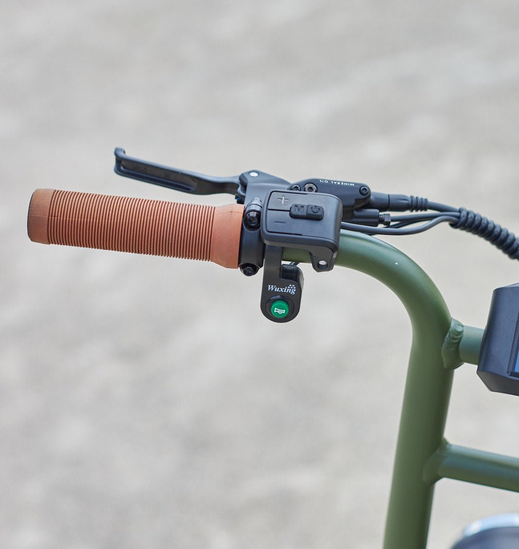 Vélo Électrique Biplace Cargo Garrett Miller X : Robuste et Fiable - Weebot