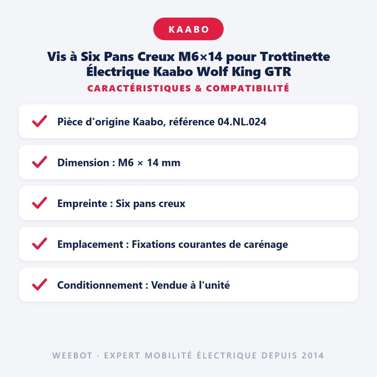 Vis à Six Pans Creux M6×14 pour Trottinette Électrique Kaabo Wolf King GTR - Weebot
