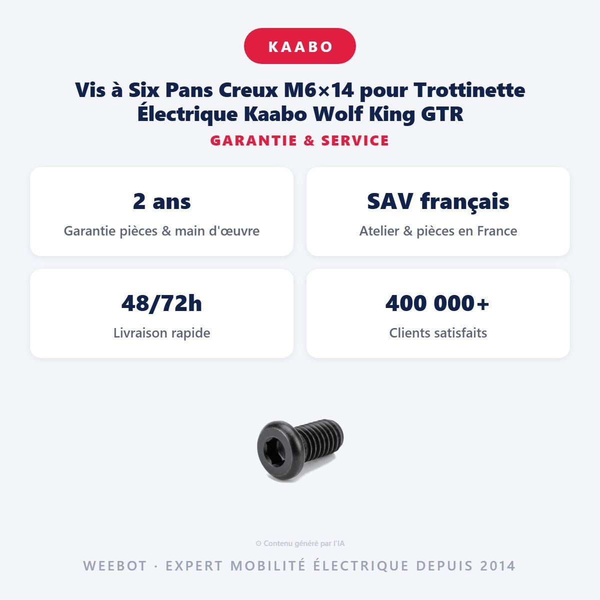 Vis à Six Pans Creux M6×14 pour Trottinette Électrique Kaabo Wolf King GTR - Weebot