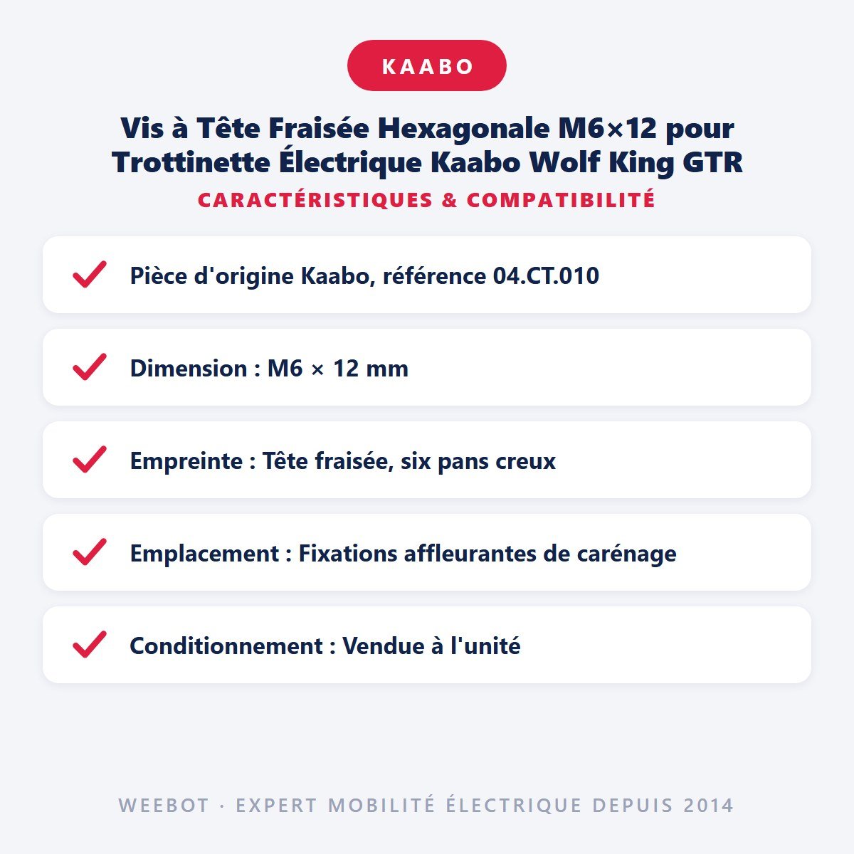 Vis à Tête Fraisée Hexagonale M6×12 pour Trottinette Électrique Kaabo Wolf King GTR - Weebot