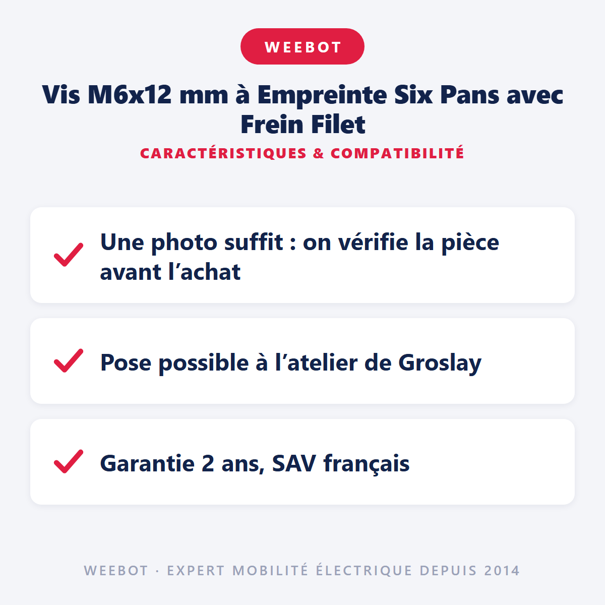 Vis M6x12 mm à Empreinte Six Pans avec Frein Filet : caractéristiques et compatibilité