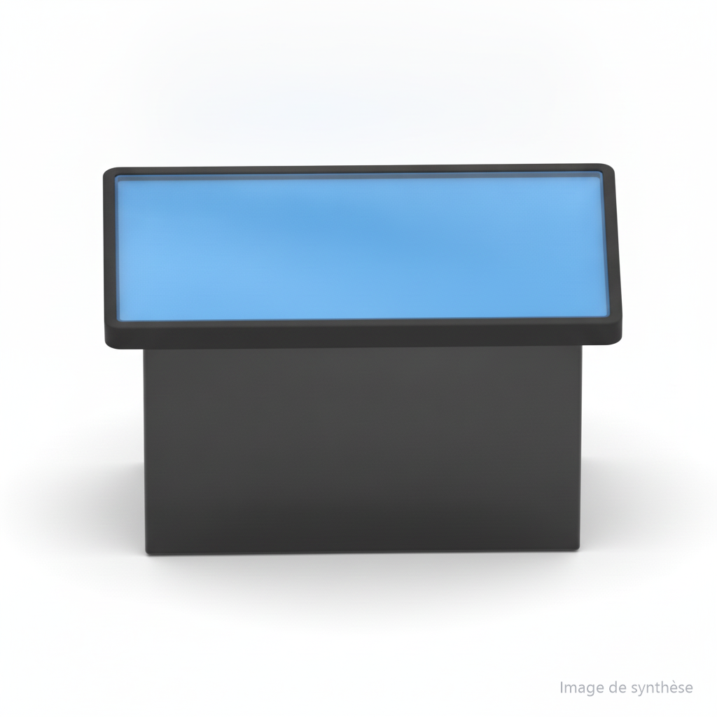 Voltmètre de Guidon Bleu, vue 3