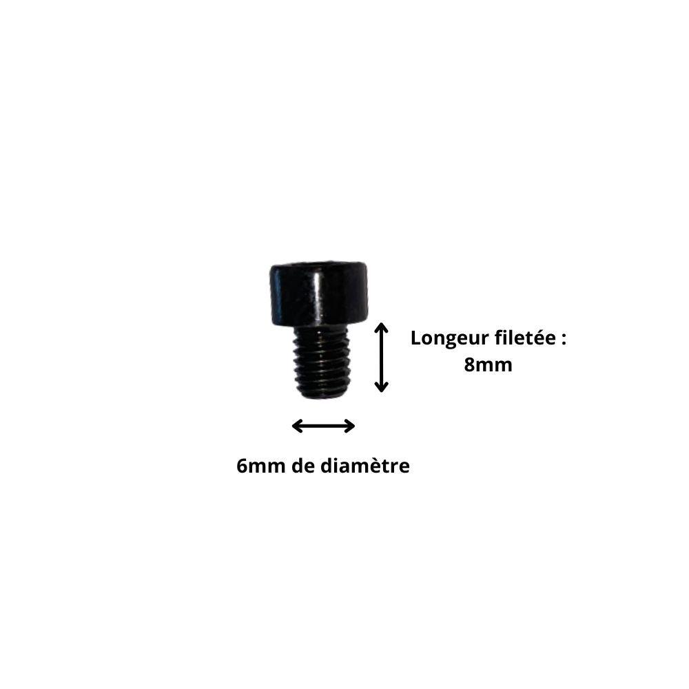 Vis M6x8 à Tête Cylindrique et Empreinte Allen (Pack de 10) - Weebot