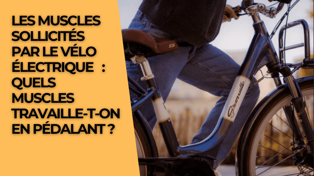 Les muscles sollicités par le vélo électrique    : quels muscles travaille-t-on en pédalant ?