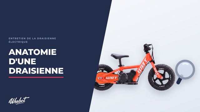 Anatomie d'une draisienne électrique : pièce par pièce