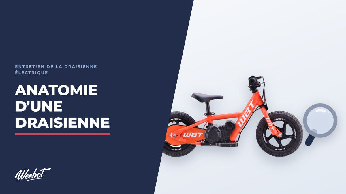 Draisienne électrique WBT orange et une loupe — l'anatomie pièce par pièce