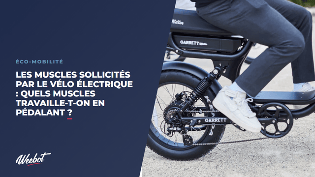 Les muscles sollicités par le vélo électrique    : quels muscles travaille-t-on en pédalant ?