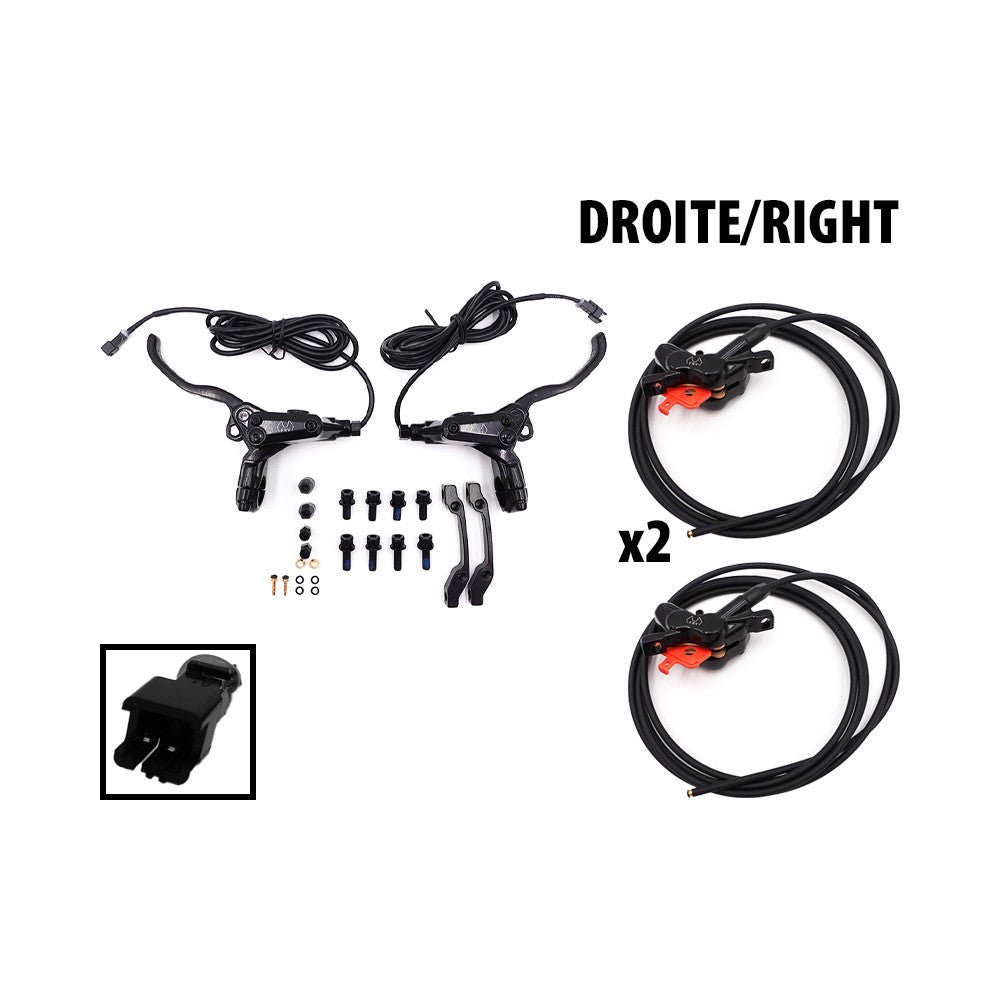 Kit Freins Hydrauliques 4 Pistons FRV avec Connecteur SM (Arrière Droite + Avant Gauche) - Weebot