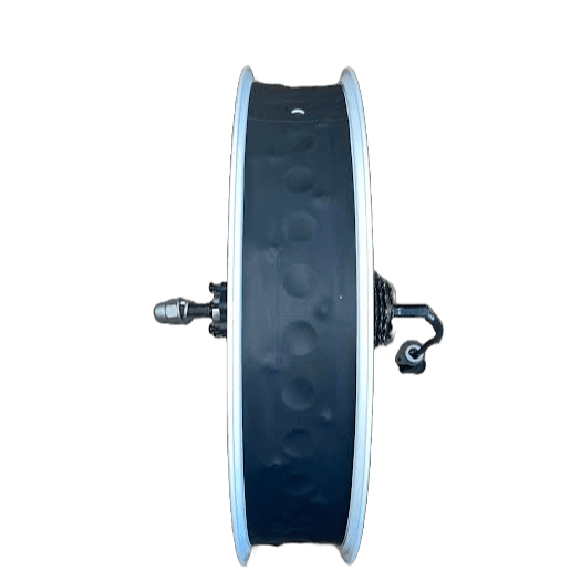 Jante Arrière Complète (Jante, Moteur 250W, Rayons) pour Vélo Électrique Garrett Miller Z, X et CIty - Weebot