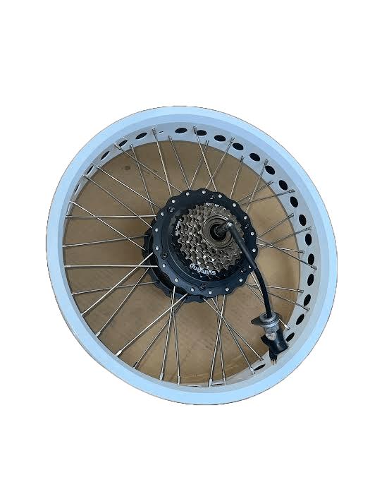 Jante Arrière Complète (Jante, Moteur 250W, Rayons) pour Vélo Électrique Garrett Miller Z, X et CIty - Weebot