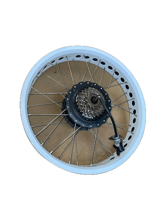 Jante Arrière Complète (Jante, Moteur 250W, Rayons) pour Vélo Électrique Garrett Miller Z, X et CIty - Weebot