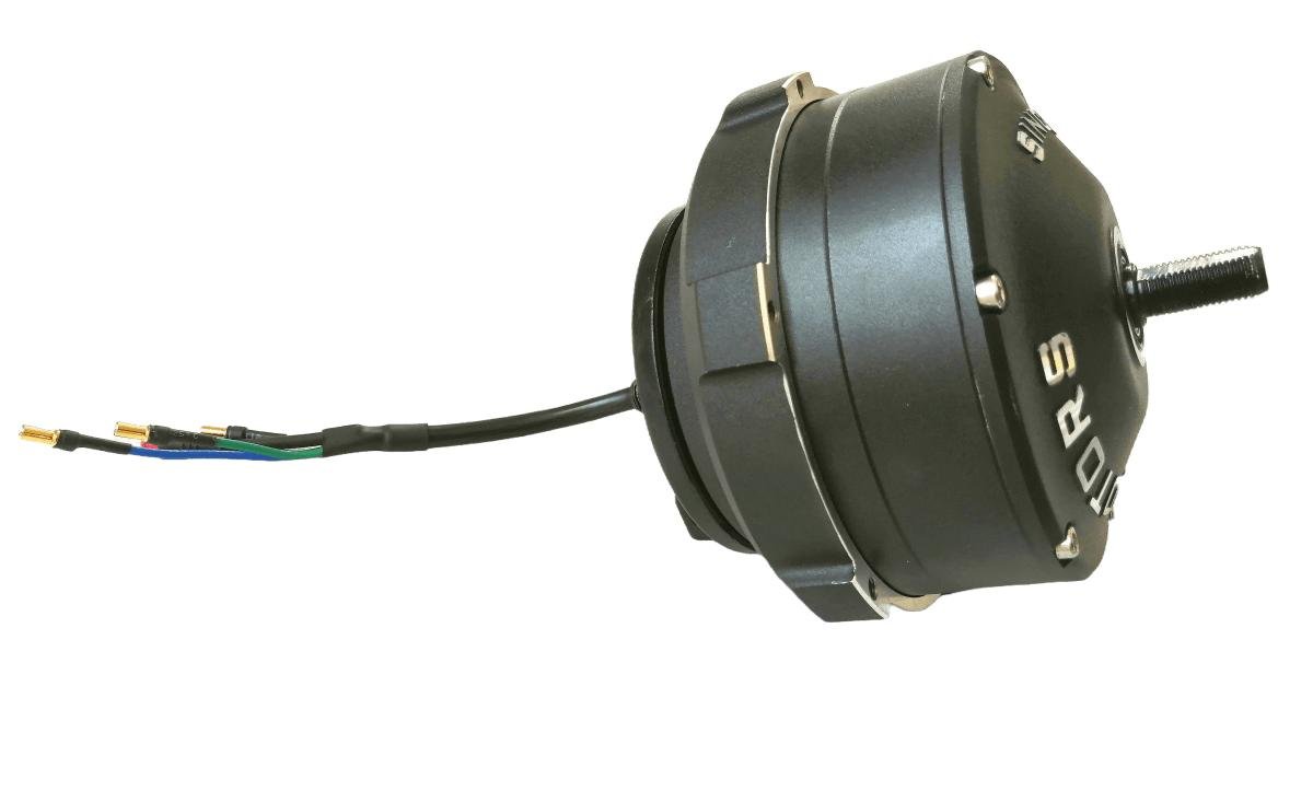 Moteur pour Trottinette Électrique Dualtron Togo 36V - Weebot