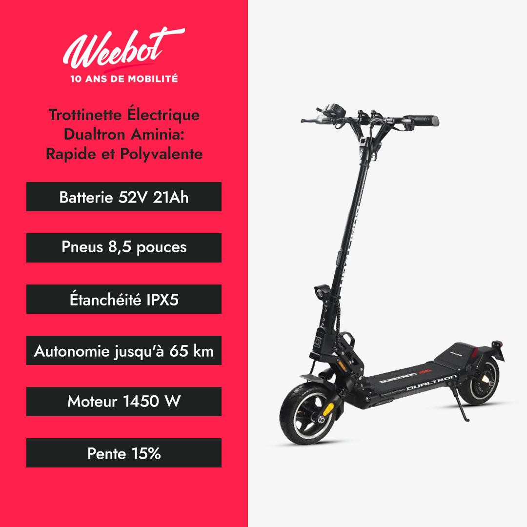 Trottinette Électrique Dualtron Aminia 
