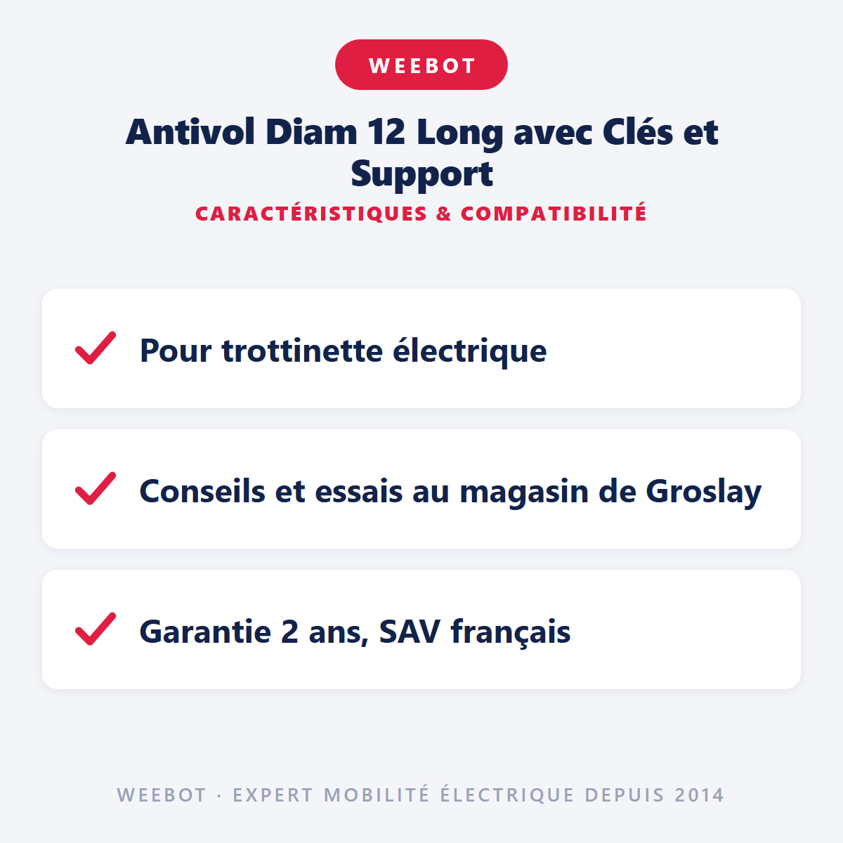 Antivol Diam 12 Long avec Clés et Support : caractéristiques et compatibilité