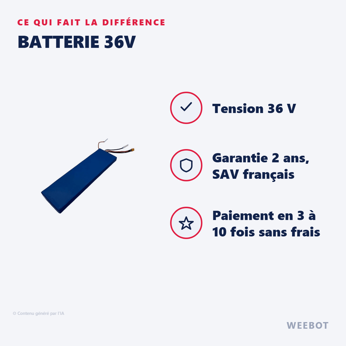 Batterie 36V pour Trottinette Electrique Dualtron Togo - Weebot