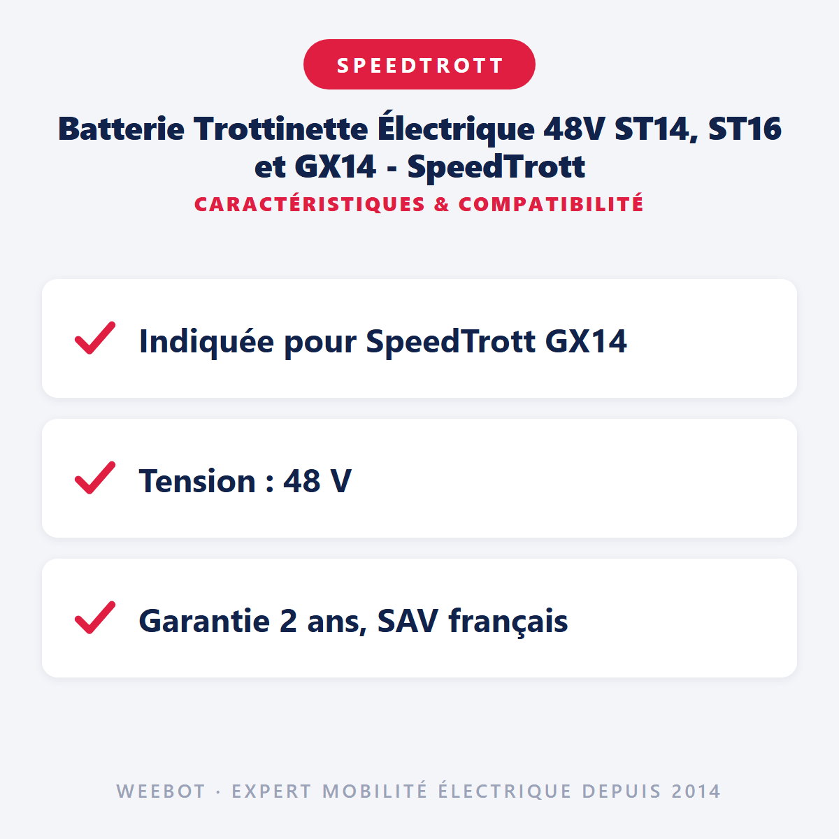 Batterie Trottinette Électrique 48V ST14, ST16 et GX14 - SpeedTrott (Batterie Uniquement) - Weebot