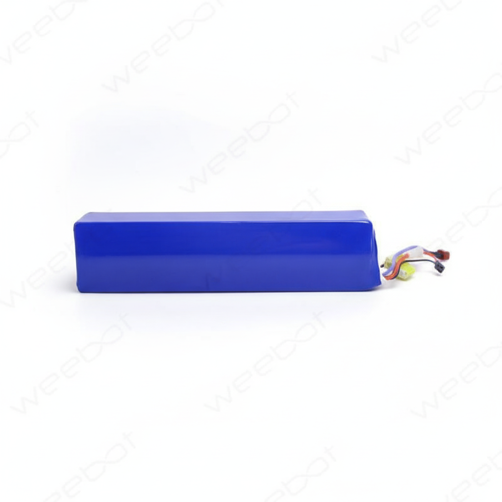 Batterie Egret Eight 36V, vue 2