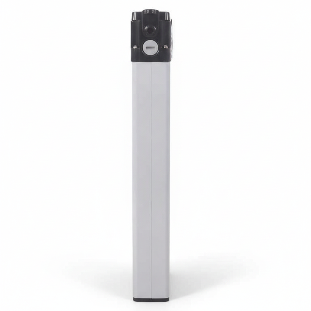 Batterie pour Vélo électrique Road, vue 2