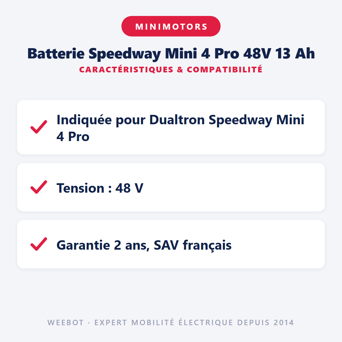 Batterie Speedway Mini 4 Pro 48V 13 Ah : caractéristiques et compatibilité