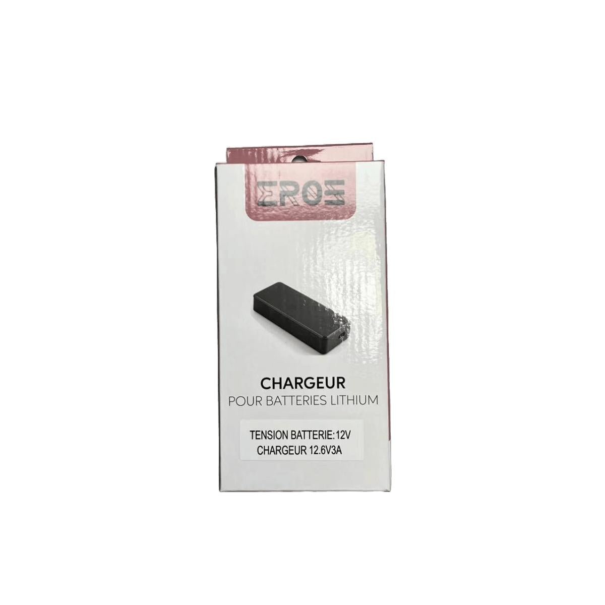 Chargeur Standard pour Batterie 12V de Potence Trottinette Électrique Dualtron - Weebot
