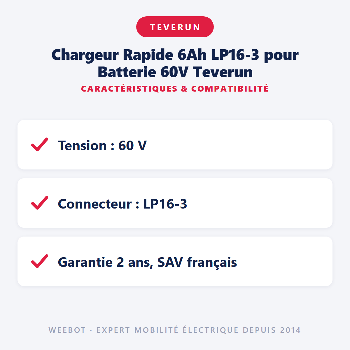 Chargeur Rapide 6Ah LP16-3 pour Batterie 60V Teverun - Weebot