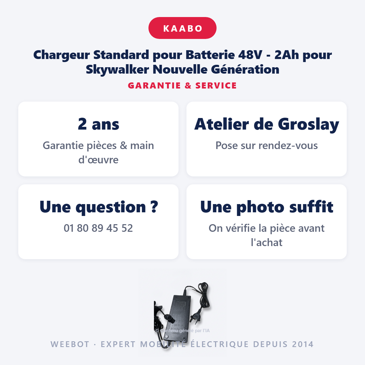 Chargeur Standard pour Batterie 48V - 2Ah pour Skywalker Nouvelle Génération : garantie 2 ans et service après-vente