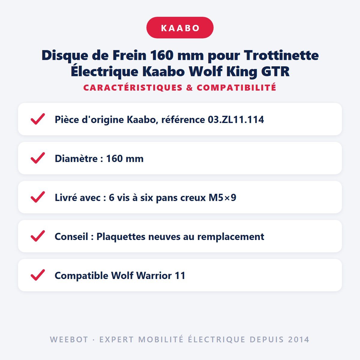 Disque de Frein 160 mm pour Trottinette Électrique Kaabo Wolf King GTR - Weebot