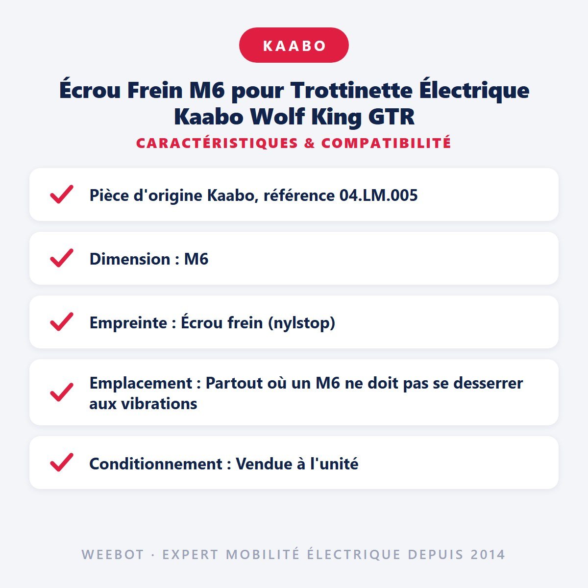 Écrou Frein M6 pour Trottinette Électrique Kaabo Wolf King GTR - Weebot