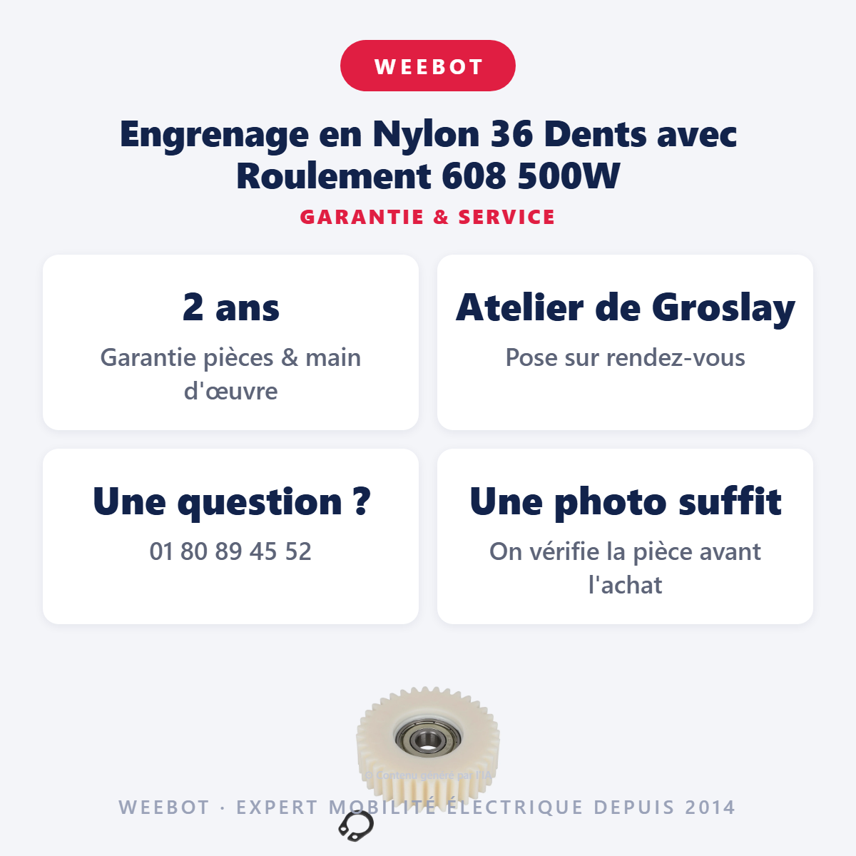 Engrenage en Nylon 36 Dents avec Roulement 608 500W : garantie 2 ans et service après-vente