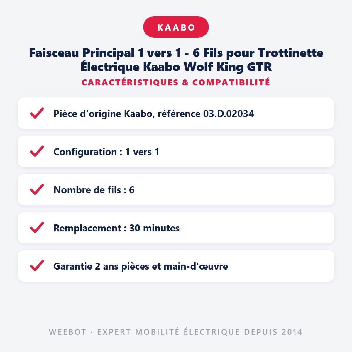Faisceau Principal 1 vers 1 - 6 Fils pour Trottinette Électrique Kaabo Wolf King GTR - Weebot