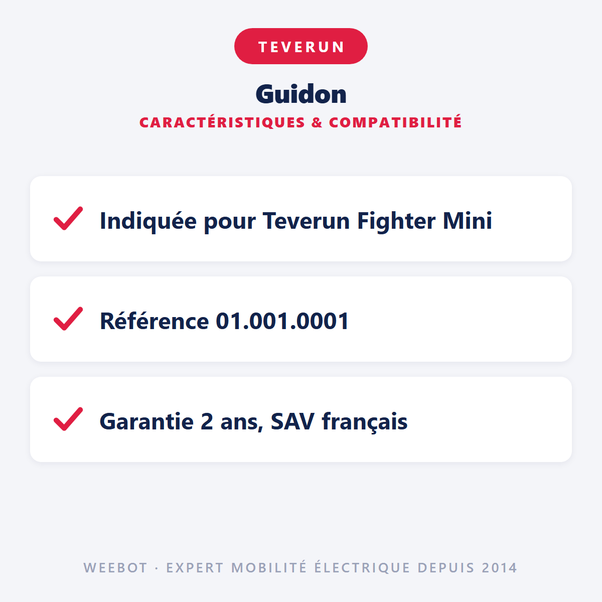 Guidon pour Trottinette Electrique Fighter Mini - Teverun - Weebot