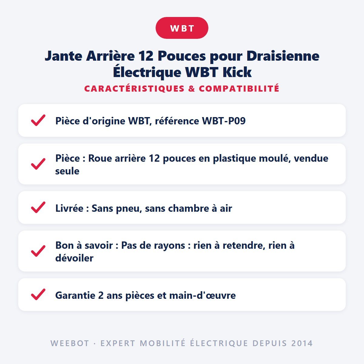 Jante Arrière 12 Pouces pour Draisienne Électrique WBT Kick - Weebot